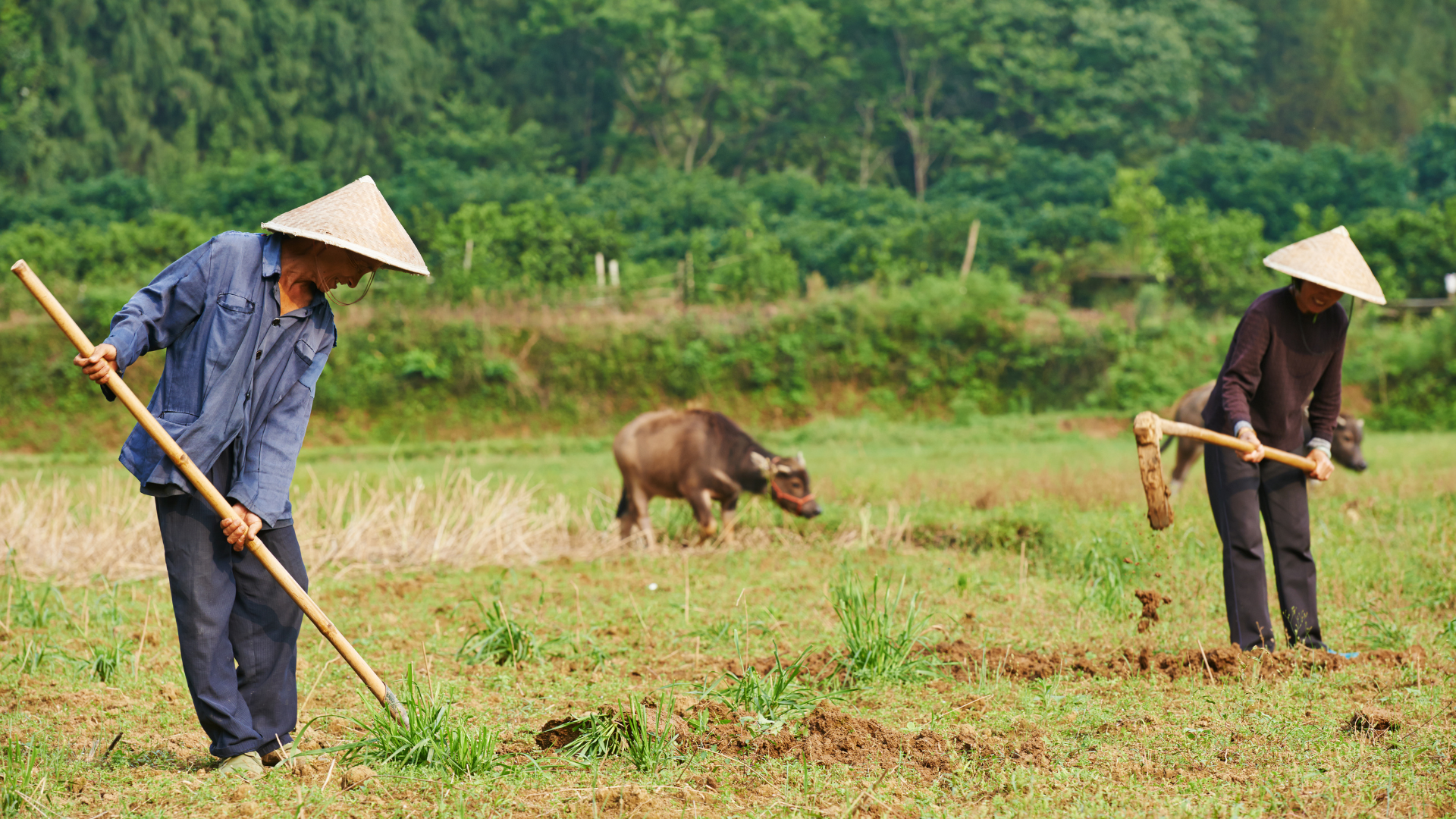 Recrutari Asia SRI Lanka Filipine